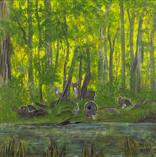 "Foraging Along Lake D'Arbonne"