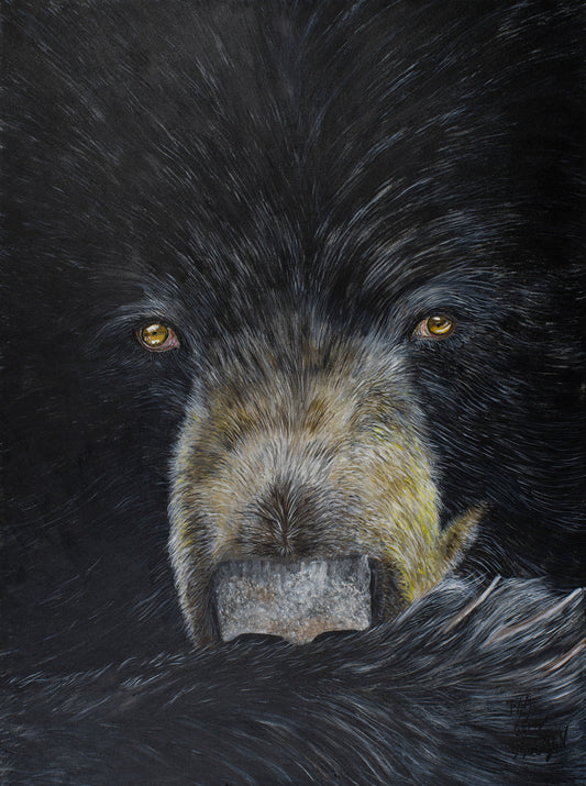 "Up Close and Personal"