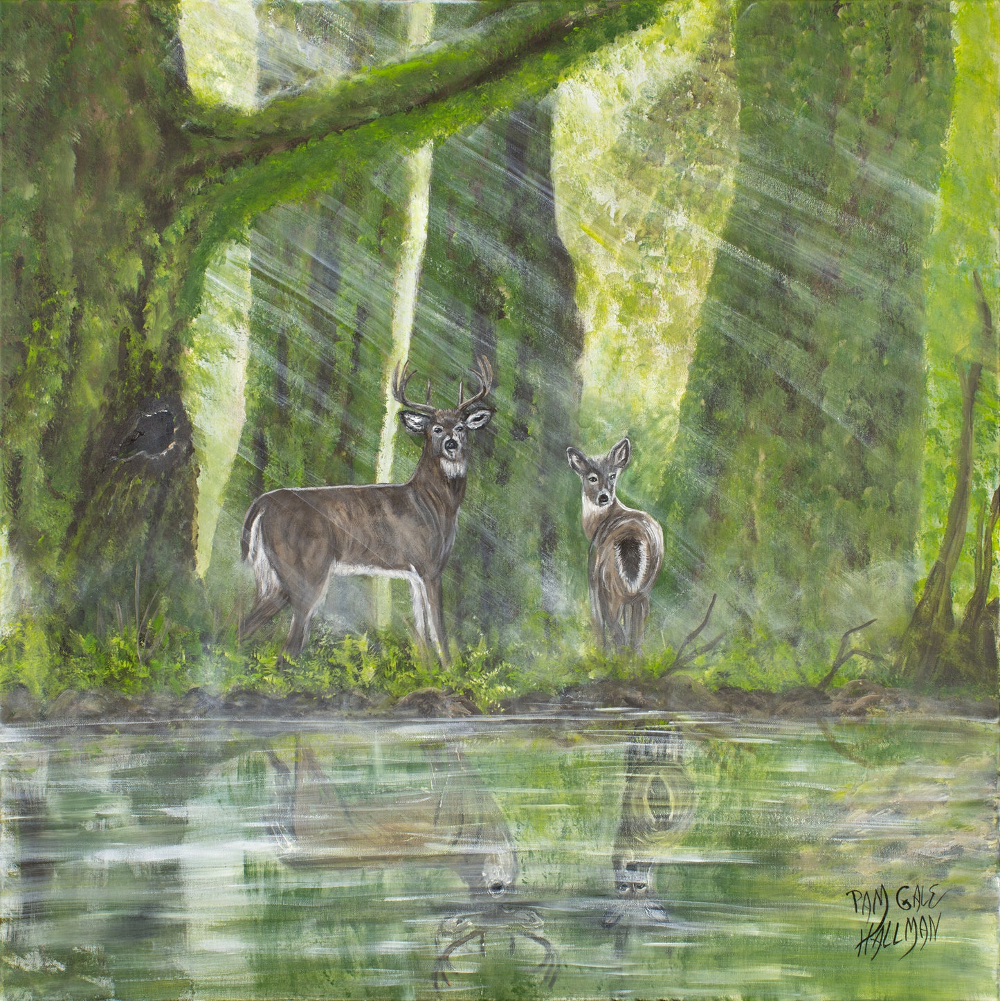 "Early Sunrise"