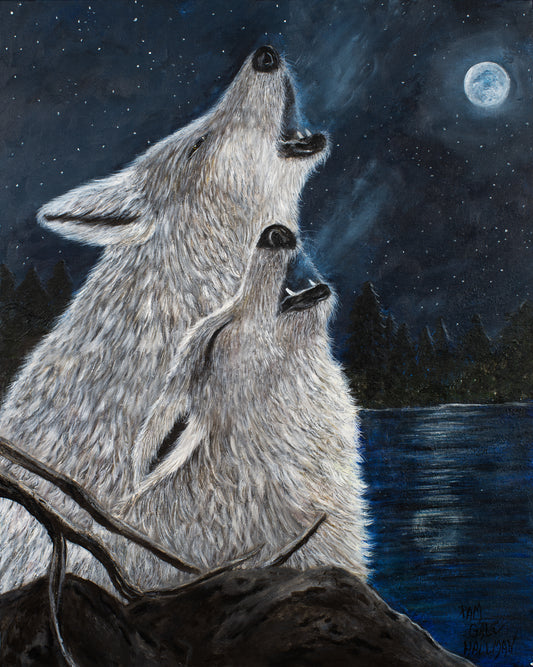 "Full Moon Over Lake D'Arbonne"