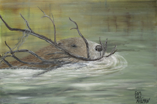 "Construction Has Begun"