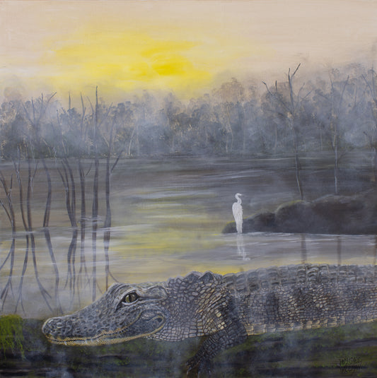 "Foggy Morning on Lake D'Arbonne"