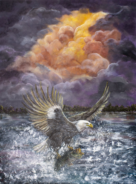 "Catch Before the Storm"