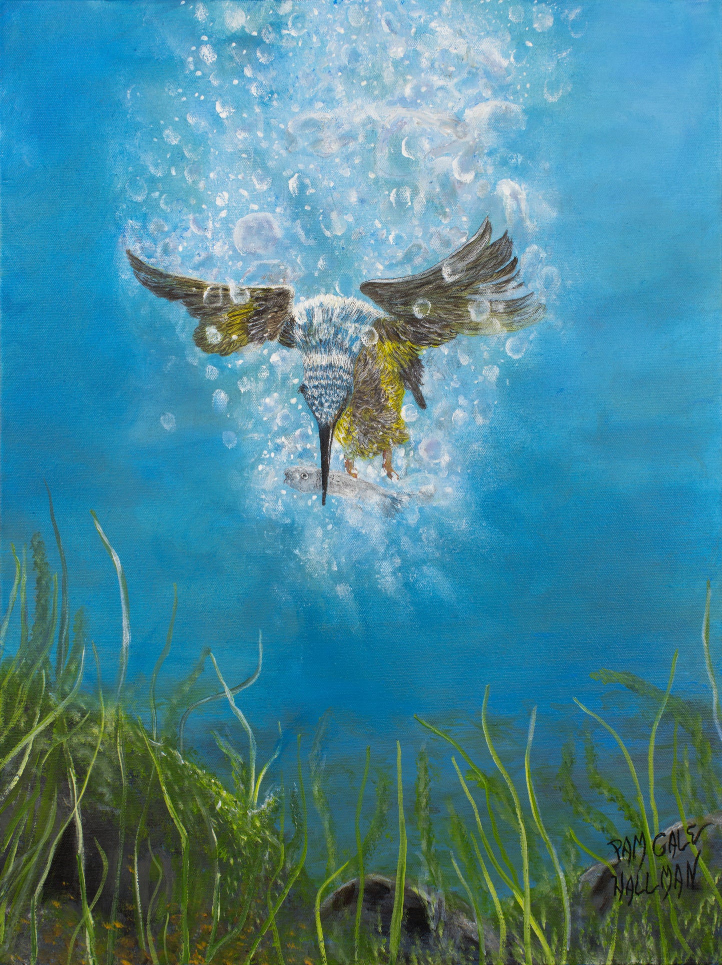 "Kingfisher"