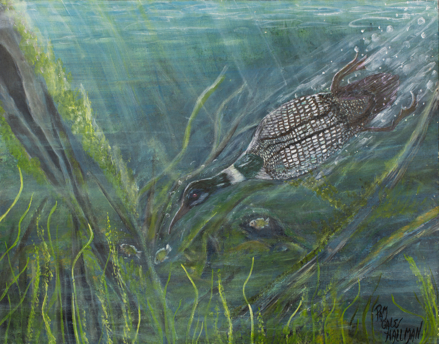"The Catch"
