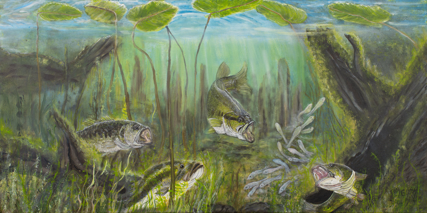 "Beneath the Lily Pads