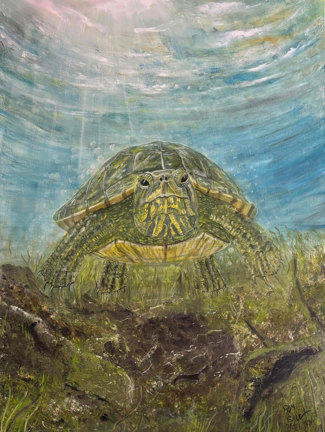 "Beneath Lake D'Arbonne"