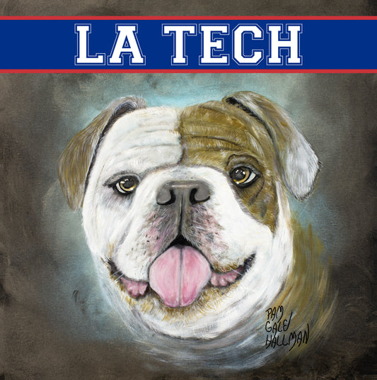 "Louisiana Tech Bulldogs"
