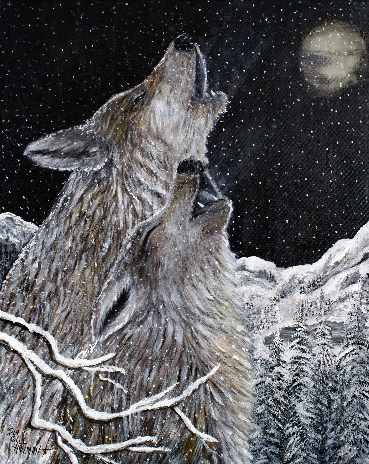 Wildlife Series