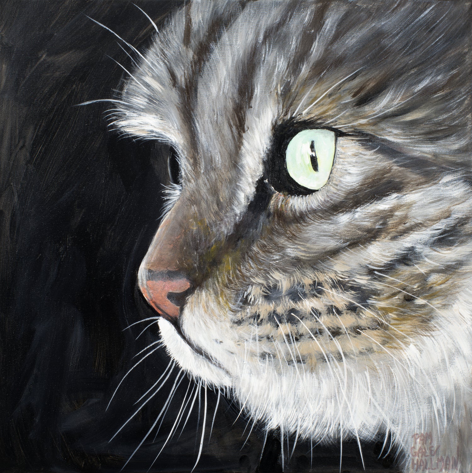 Pet Portraits