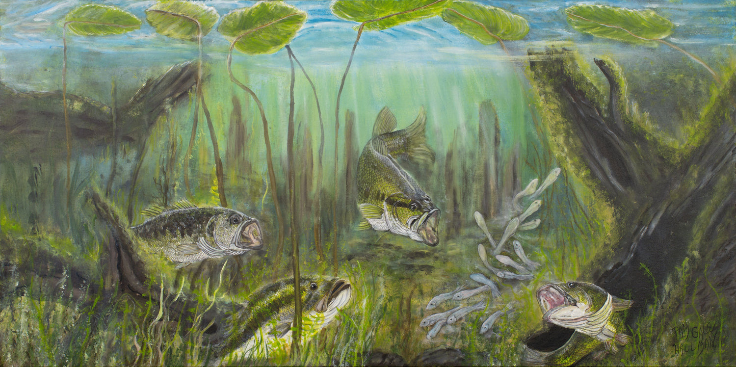 Lake D'Arbonne Series