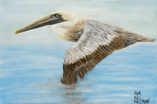 "Louisiana State Bird - Pelican"