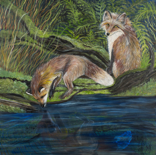 "Reflections"