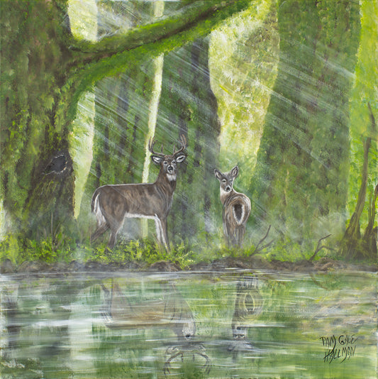 "Early Sunrise"