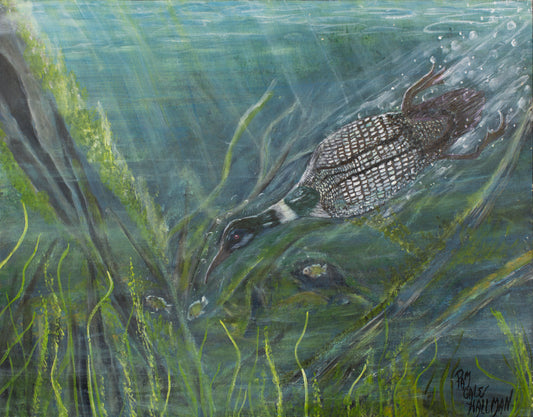 "The Catch"