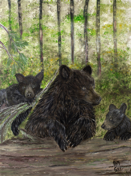 "The Outing"