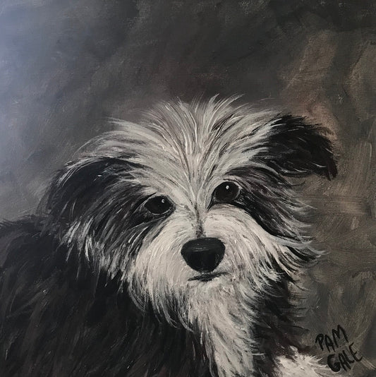 Commissioned Work 62